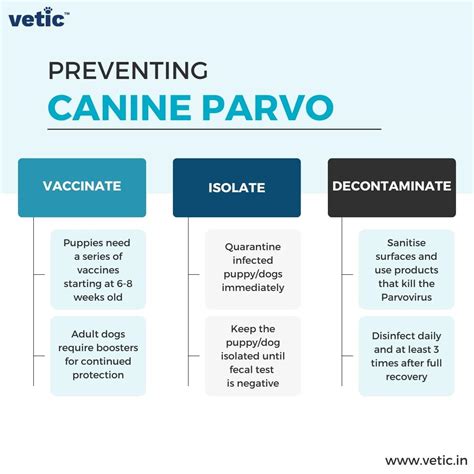 Canine Parvovirus: Testing, Treatment, and Prevention.